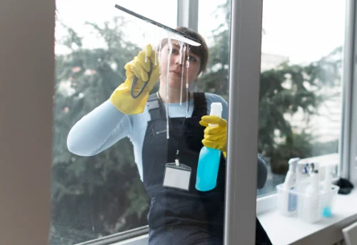 Nettoyage de vitres intérieures et extérieures à Porte des Pierres Dorées